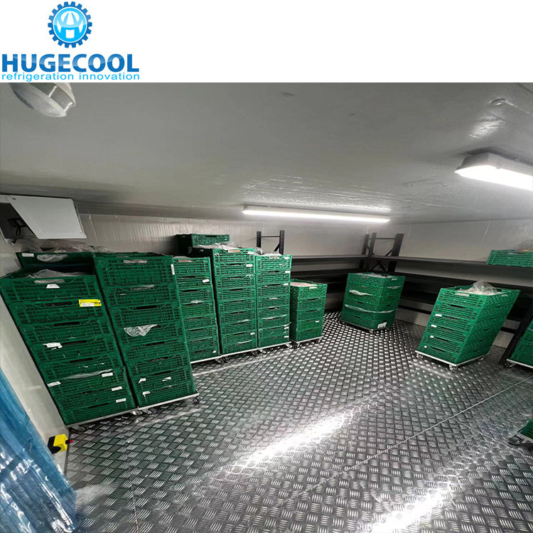 Large Cold Storage Room Logistics Freezing Equipment Cold Room Storage