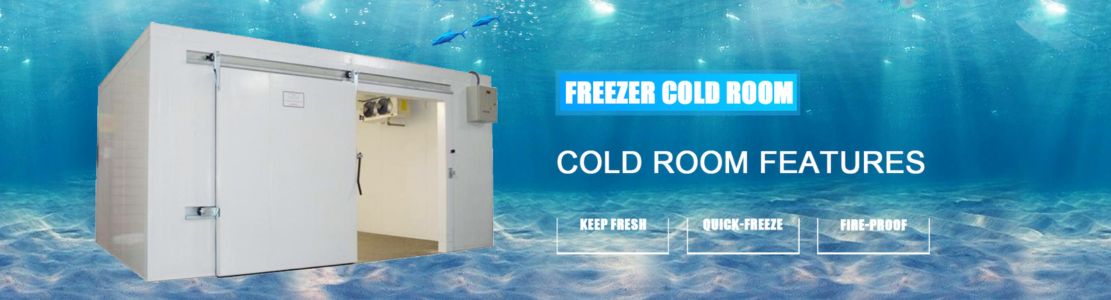quality Freezer Cold Room factory