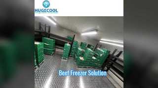 Beef Blast Freezer Walk In Freezer Room