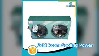 Cold Room Air Cooled Condenser for Peak Performance