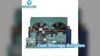 2HP Cold Storage Condensing Unit for Sale
