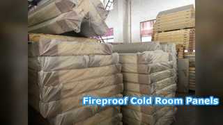 Fireproof Cold Room Panels Food Processing Storage