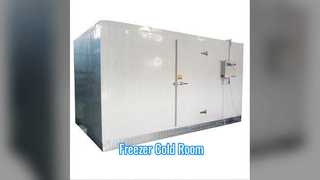 Freezer Cold Room Subzero Storage Extended Shelf Life