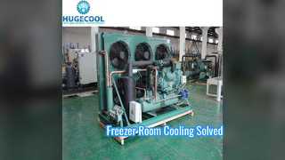 Blue Fin Freezer Room Condensing Unit