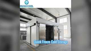 Quick Freeze Modular Cooling Room