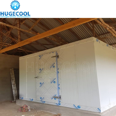 cold room /walk in freezer storage high efficiency cold storage for seafood