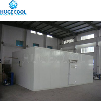 Density 40 to 42KG M3 Freezer Cold Room Cold Storage Room Freezer Room 500 KG Capacity Suitable for Cold Chain Logistics