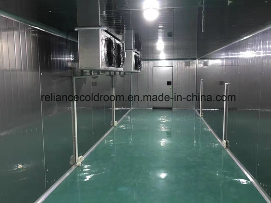 Stainless Steel Panel Fresh Keeping and Frozen Cold Room with All Thickness Options