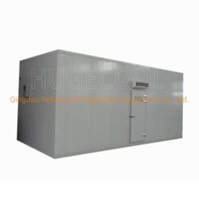 Structure Assembled Cold Storage Room for Sea Food Ice Cream and Dumplings Air Cooling