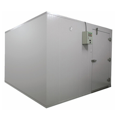 3*3*3m Frozen Meat Cold Room with Hinged Door 220V/380V/440V Voltage and 150mm Panel