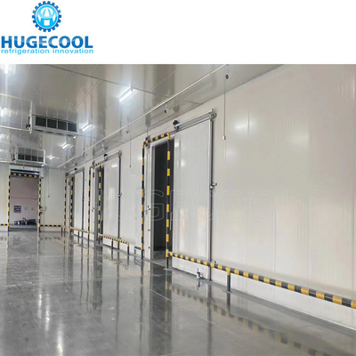 Walk-in Freezer Room for Already Frozen Soursop Products Storage Solution Provider