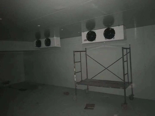 Container Cold Room Cold Storage for Frozen Food Meat State-of-the-Art Technology