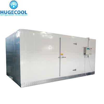 Temperature -18c Industrial Assembled Cool Rooms and Freezer Room with Condensing Unit