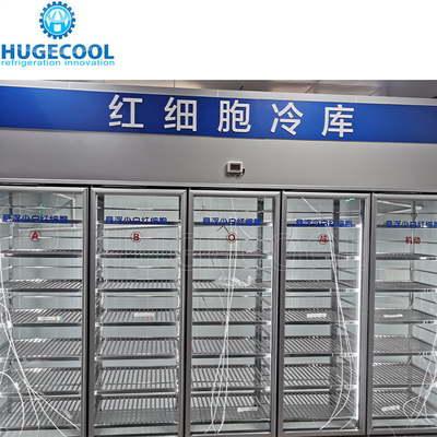 U Type Double Glazing Glass Door Display Cold Room for Food Storage Solution