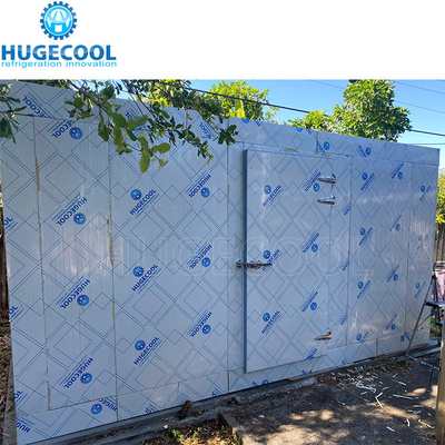 Sea Fish Products Storage in Large Beef Deep Freezer Cold Room with Cam-Lock Connection