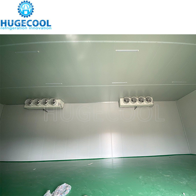Walkin Cooler Cold Room Storage Cooling System for Fruit and Vegetable Nature Production