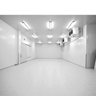 Customized Design Cold Room Walk-in Chiller Freezer for Precise Temperature Management