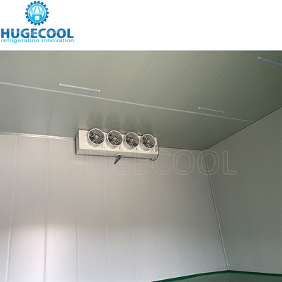Walk in Chiller Cold Storage Cold Room with PIR PUR Panel and 200mm Thickness PU Panel