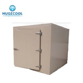 PU Foam Walk In Chiller Rooms , Freezer Units Cool Room With Bizter Multiple Compressor