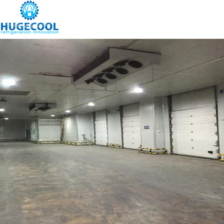 Logistics Cold Storage For Fruit And Vegetable Storage 1400 Tons Large Cold Storage Room Warehouse