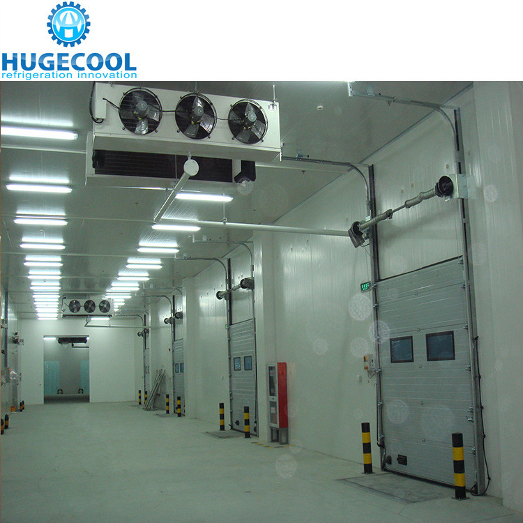 Logistics Cold Storage For Fruit And Vegetable Storage 1400 Tons Large Cold Storage Room Warehouse