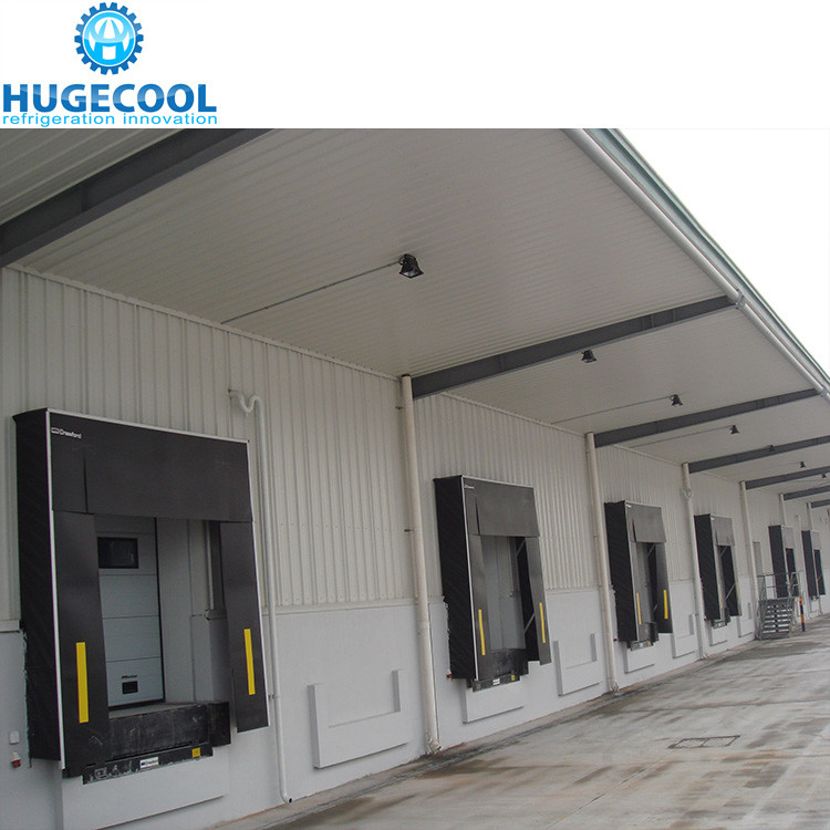 Industrial Logistics Fish Freezer Construction for Frozen Food Seafood Meat Chicken Cold Room