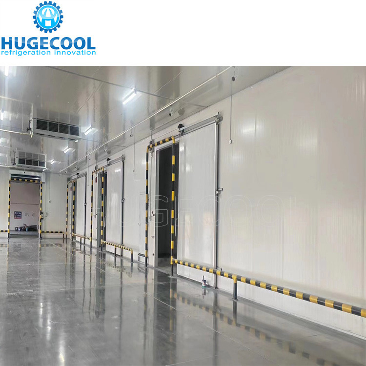 Industrial Logistics Fish Freezer Construction for Frozen Food Seafood Meat Chicken Cold Room