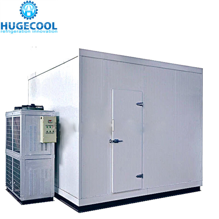 Customized large freezer compartment with roll-in trolley