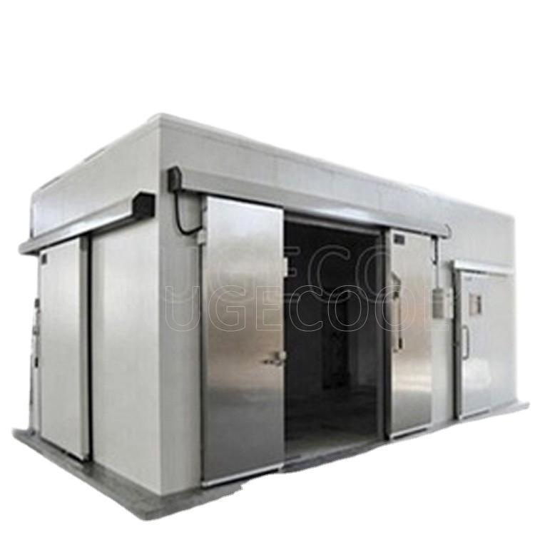 prefabricated Modular cold storage for chicken meat and fresh fruits vegetable