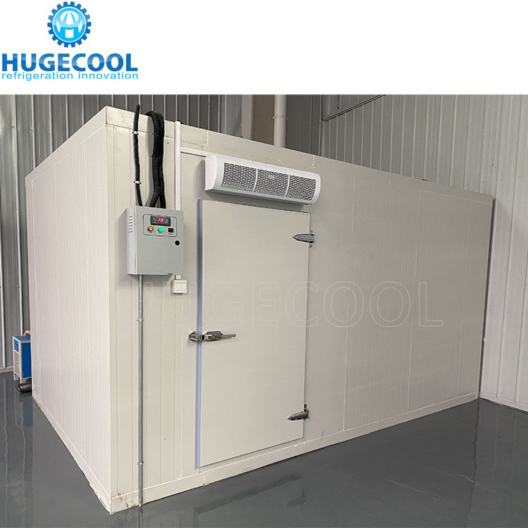walk-in freezer room for seafood fish meat chicken beef storage with copeland compressor