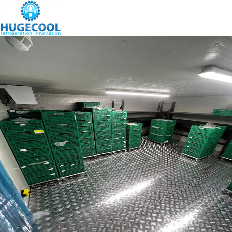 cold room storage for fruits and vegetables refrigeration unit