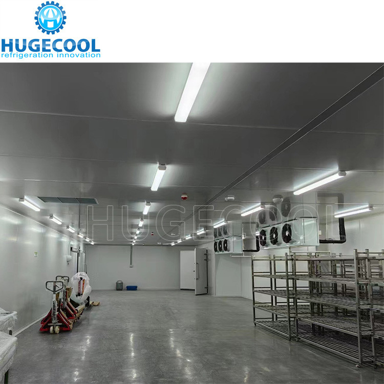 Cold Storage Walk In Chiller / Freezer For Vegetable Fruits Meat