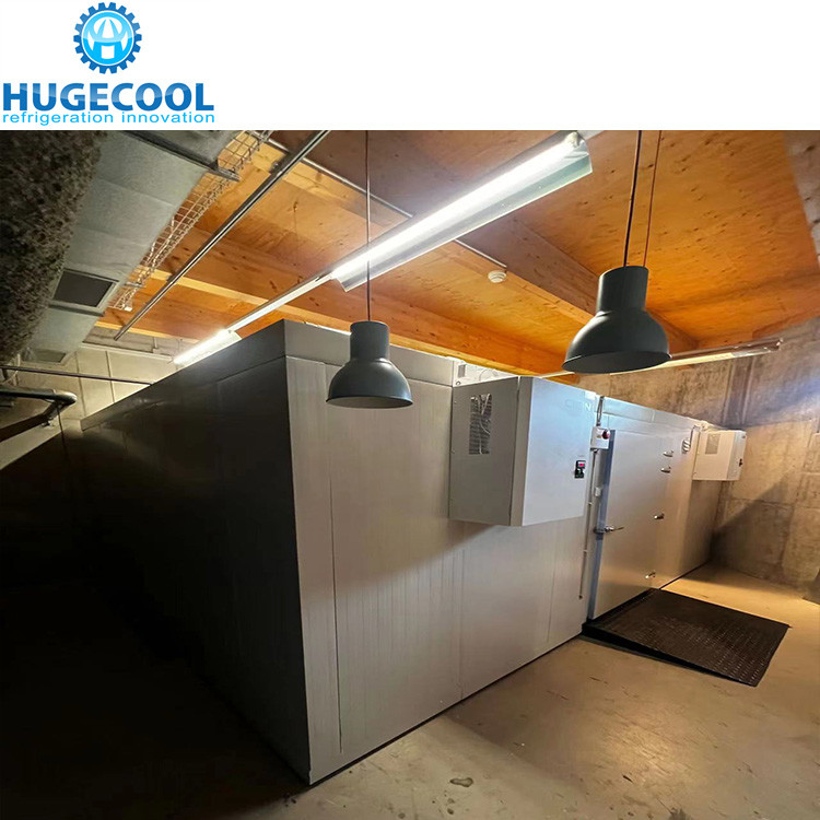 Cold Storage Walk In Chiller / Freezer For Vegetable Fruits Meat