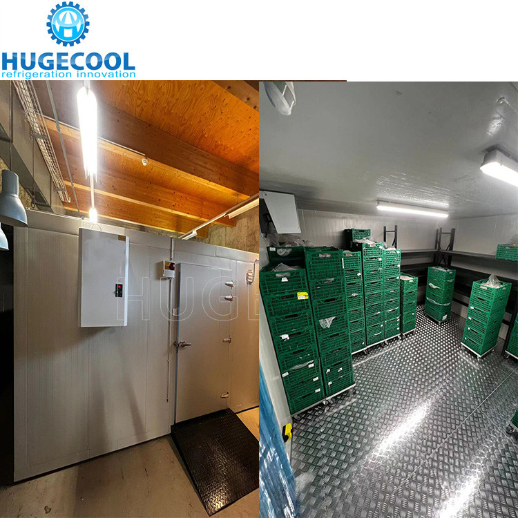 Cold Storage Walk In Chiller / Freezer For Vegetable Fruits Meat