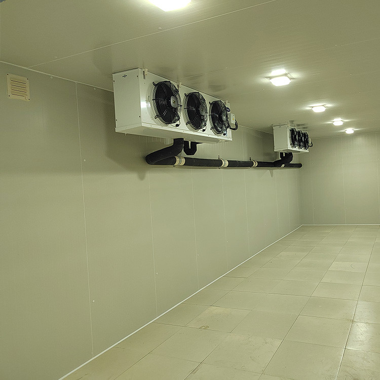 Walk In Cold Room Storage With Electricity Refrigeration Equipment