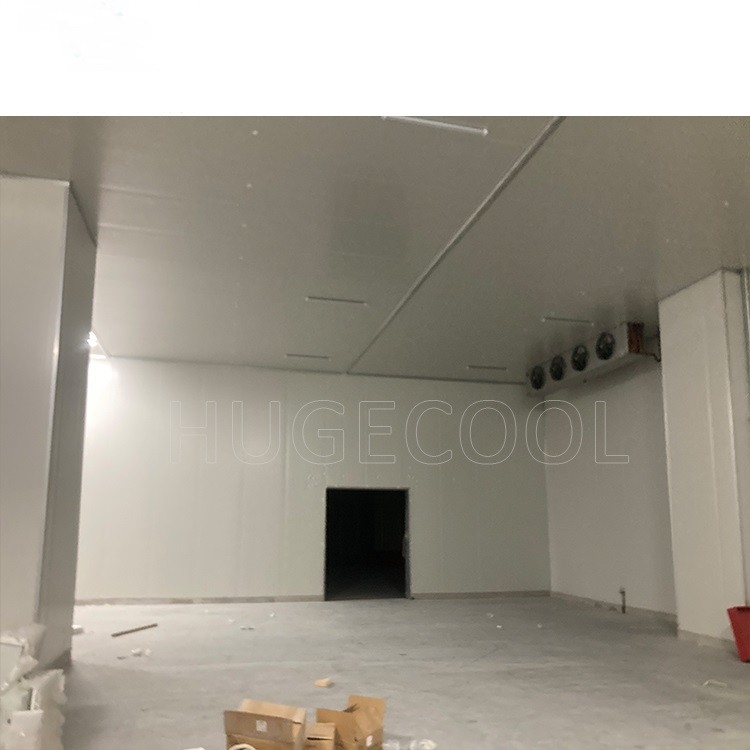 Walk In Cold Room Storage With Electricity Refrigeration Equipment