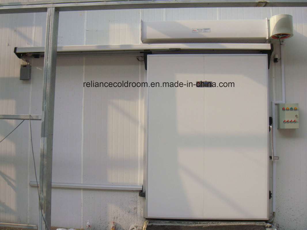 Large Walk in Cold Storage Panel P50 80 100 150 200 for Flexible Storage Solutions