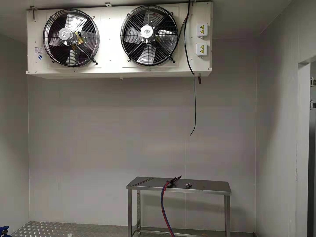 Small Cold Room for Kitchen Customization Medicine Customized Request