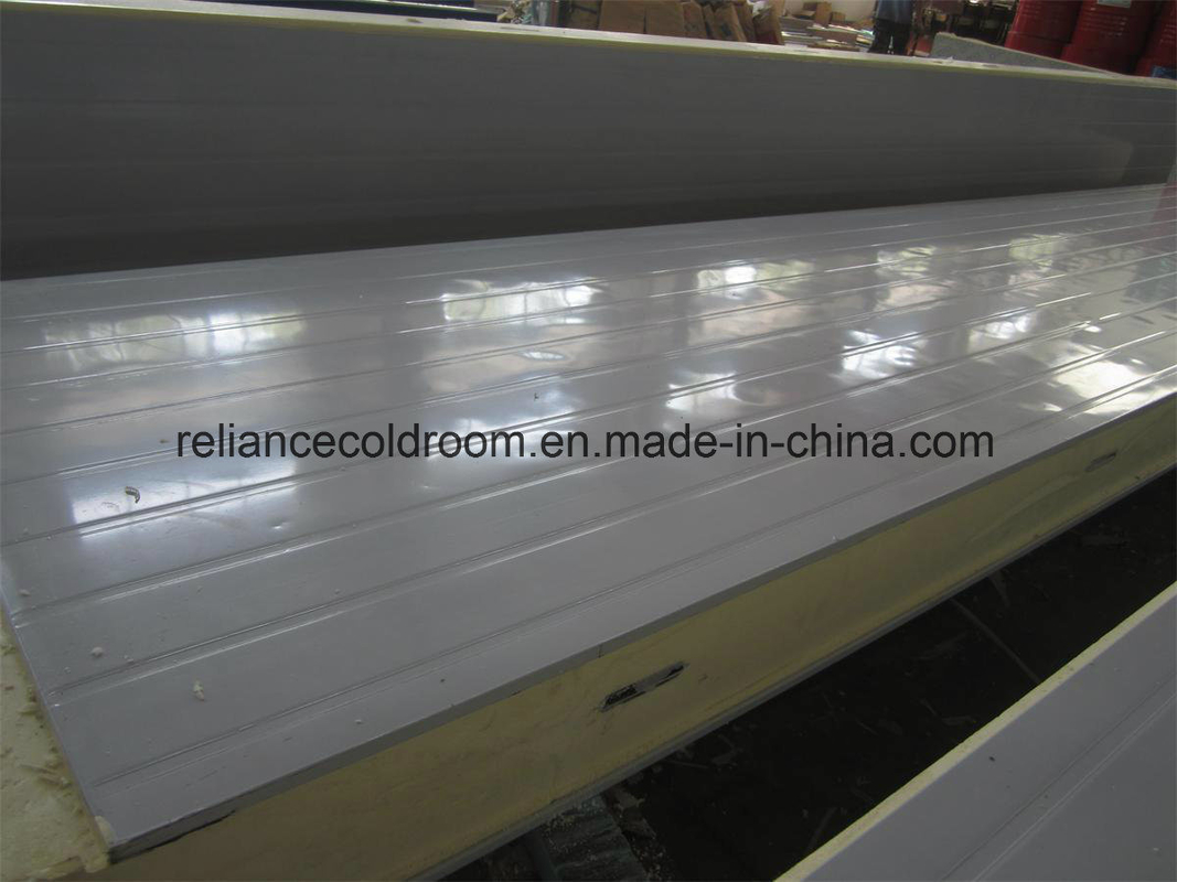 Assembled Structure Hinged Door for Cold Room Customization and Customized Request