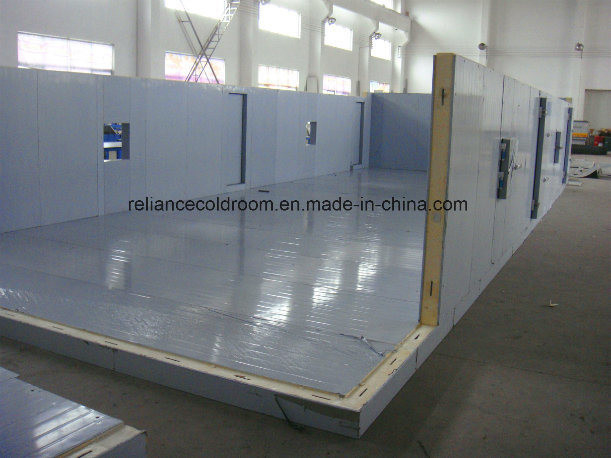 Assembled Structure Hinged Door for Cold Room Customization and Customized Request
