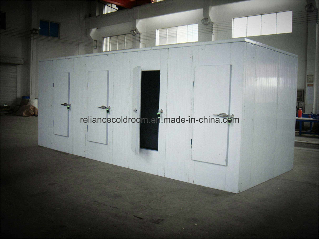 Assembled Structure Hinged Door for Cold Room Customization and Customized Request