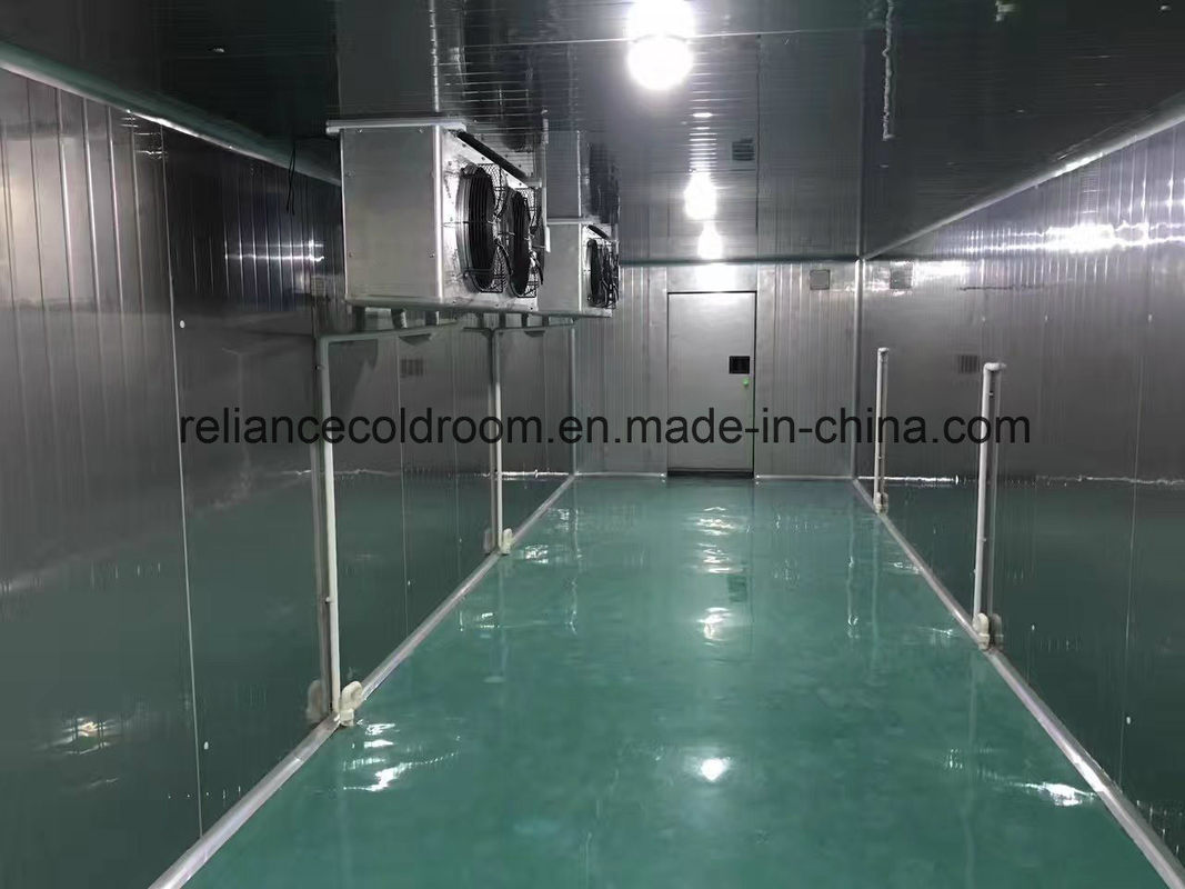 Stainless Steel Panel Fresh Keeping and Frozen Cold Room with All Thickness Options