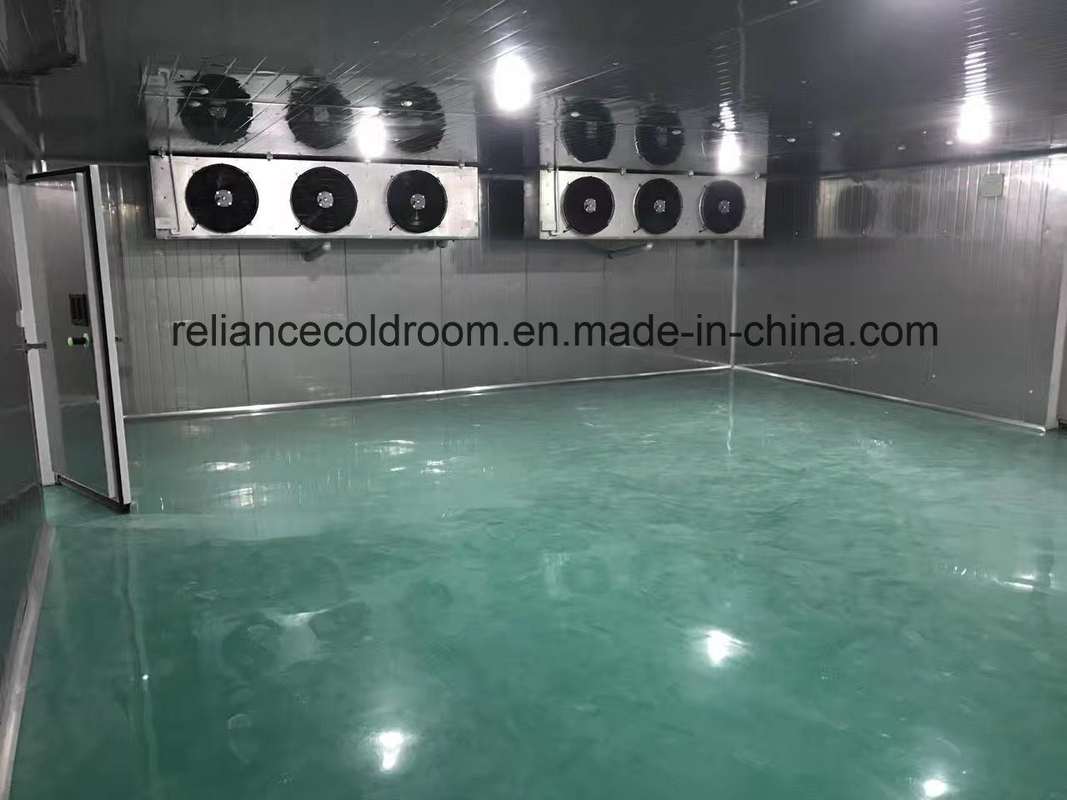 Stainless Steel Panel Fresh Keeping and Frozen Cold Room with All Thickness Options