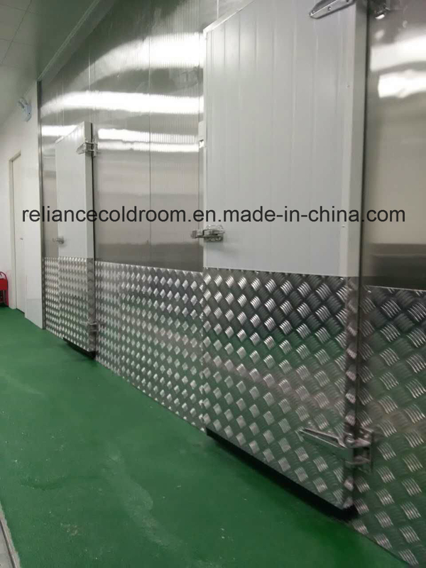 Stainless Steel Panel Fresh Keeping and Frozen Cold Room with All Thickness Options