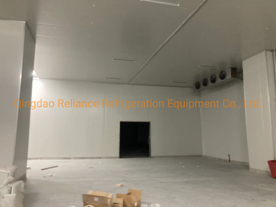 Medicine COLDROOM4 The Ultimate Cold Room Storage for Onion Vegetables and Fruits
