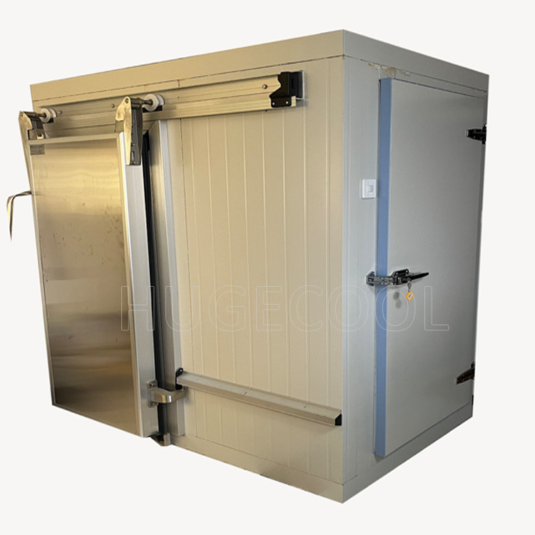 5HP Condensing Unit Cold Storage Room for Fish with Customized Request and Evaporator
