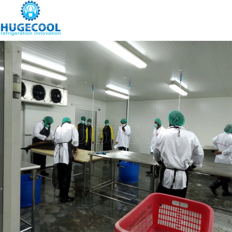 5HP Condensing Unit Cold Storage Room for Fish with Customized Request and Evaporator