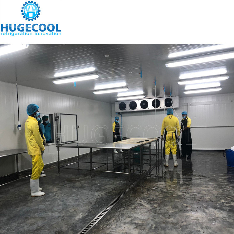 5HP Condensing Unit Cold Storage Room for Fish with Customized Request and Evaporator