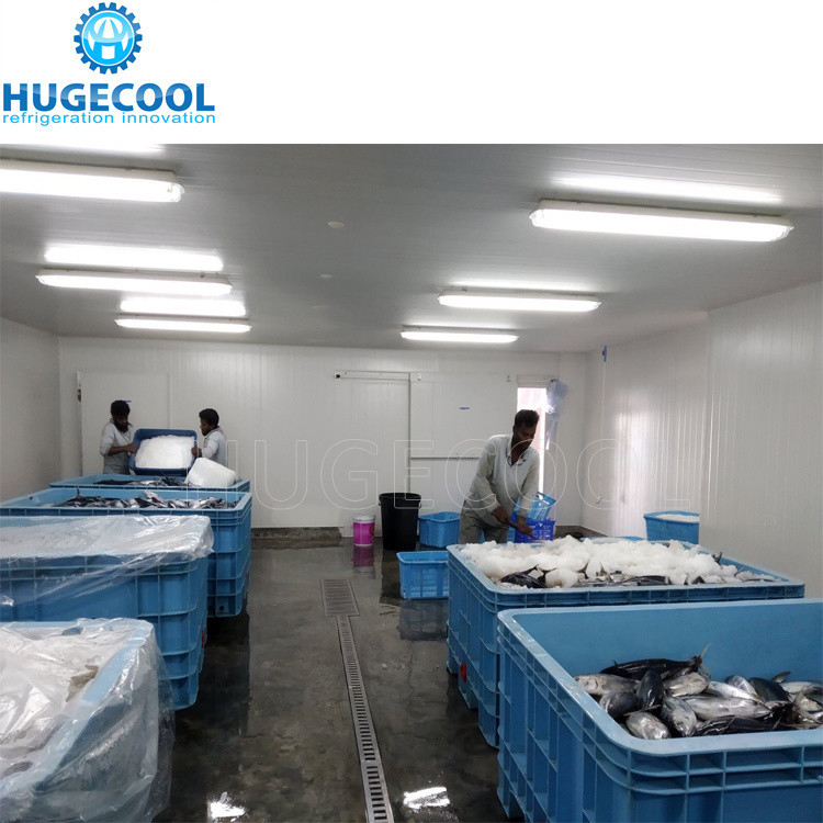 5HP Condensing Unit Cold Storage Room for Fish with Customized Request and Evaporator
