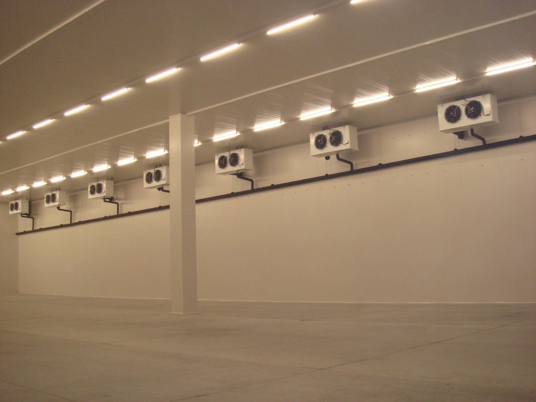 Cold Room for Butchery Dairy -10-0C Temperature and Customized Request